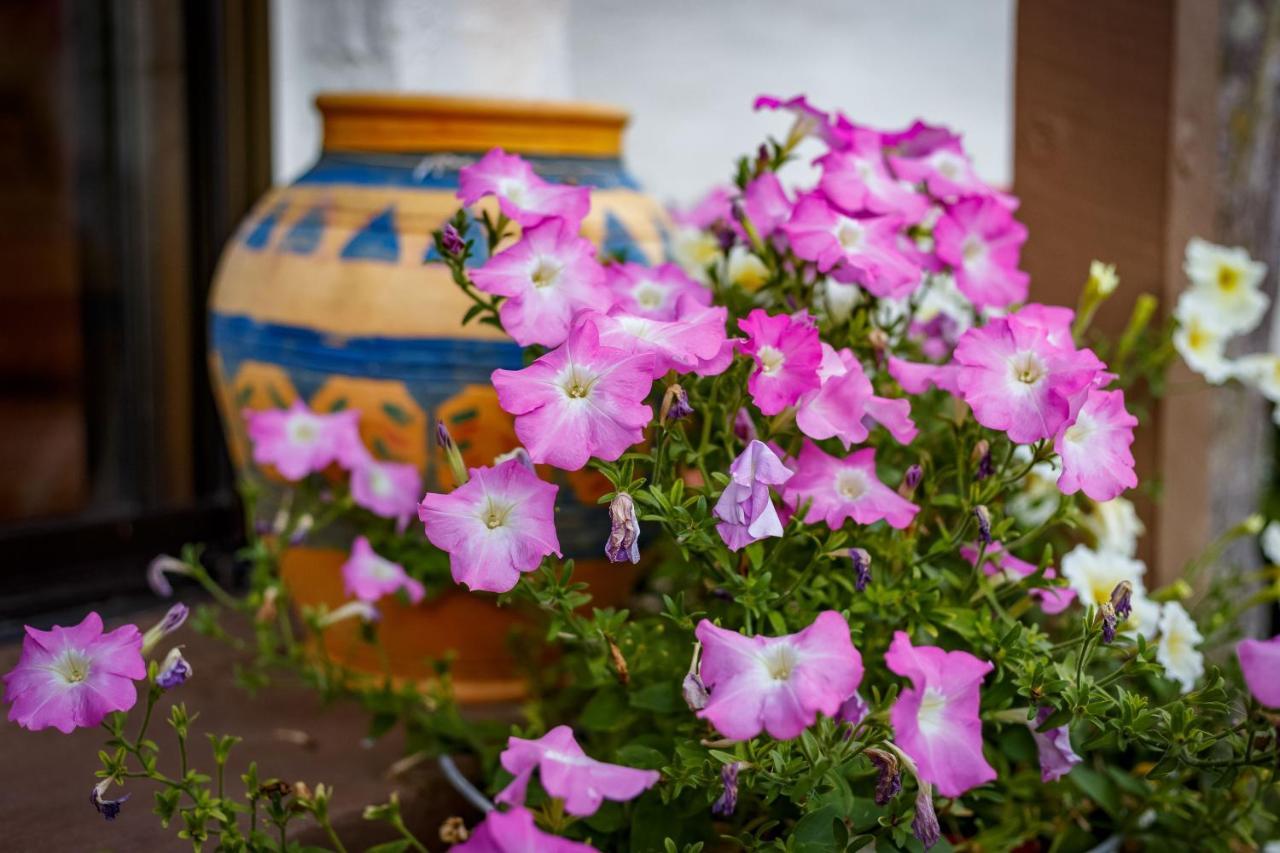 Sensom Boutique Bed And Breakfast Sapphire Beach Exterior photo
