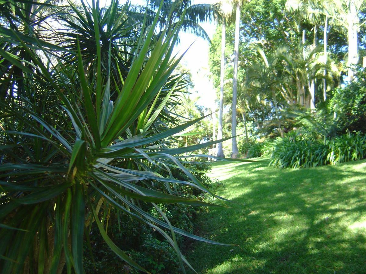 Sensom Boutique Bed And Breakfast Sapphire Beach Exterior photo